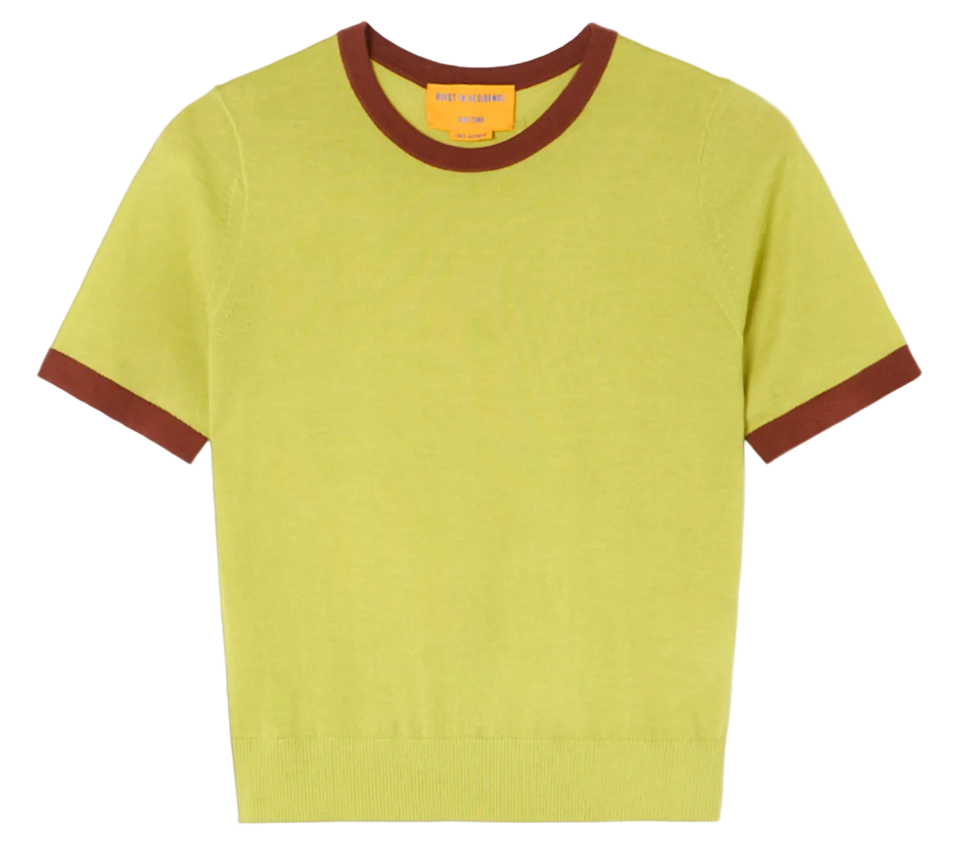 The Airy Ringer Tee by Guest in Residence is a light green, short-sleeve vintage-inspired shirt with brown trim on the collar and sleeves, shown flat on a white background.