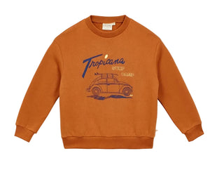 The Arsene & Les Pipelettes Boys' Tropicana Sweatshirt is made from organic cotton fleece in a rust color, featuring "Tropicana Surf Camp" text and a blue outlined graphic of a car with a surfboard on the roof, shown against a white background.