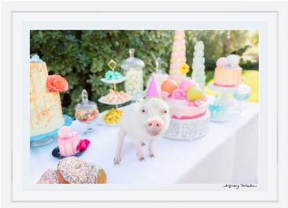 Gray Malin's "Picnic Party II" (White Frame, 29.5" x 41.5") captures the whimsical charm of a pink party-hat pig amid colorful cakes, perfect for Parker Palm Springs lovers and fans of exotic animal art.
