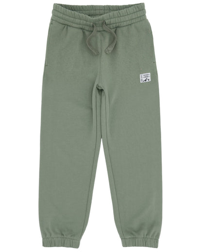 The Boys’ Wyatt Jogger by Feather 4 Arrow features an adjustable waistband with a drawstring, side pockets, elastic cuffs, and a small white patch label on the upper left leg—ideal for everyday wear.