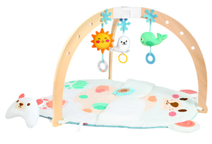 Snuggle Bear Activity Gym