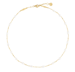 Anabel Aram Milos Multi Beaded Necklace featuring an 18k gold plated chain interspersed with small, oval white beads.