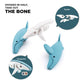 A blue and white toy shark from Halftoys Ocean Friends that separates into a bone puzzle, connected by magnets. Text reads, "DIVIDED IN HALF, TAKE OUT THE BONE" with labels "Halftoys," "Puzzle," and "Magnetic.